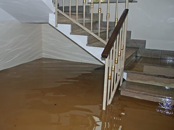 basement flooding services nz